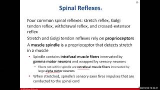 Chapter 14 The Spinal Cord Supplemental Video [upl. by Nivlac37]