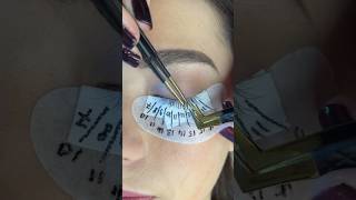 Volume russe en extension de cils  ASMR lashlift volumerusse extensiondecil cilasmr asmr [upl. by Arimaj]