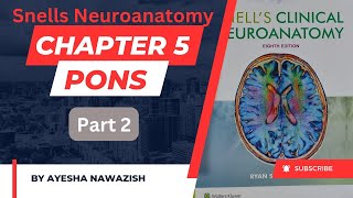 Pons I Chapter 5 Snells Neuroanatomy I part 2  Dr najeeb lecture summarized [upl. by Anna-Diane]