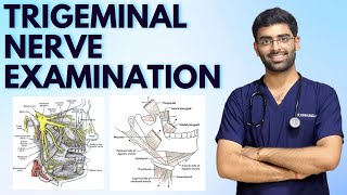 TRIGEMINAL NERVE EXAMINATION  CRANIAL NERVE EXAMINATION  NEUROLOGY [upl. by Meade]