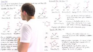 Nonpolar and Uncharged Polar Amino Acids [upl. by Sup]