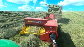 Baling Hay On A Dairy Farm l 1st Crop Small Square Bales l 2024 Hay Season [upl. by Jodi]