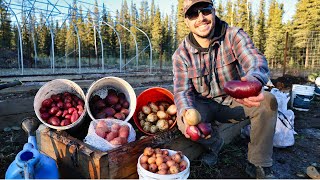 Annual Potato Harvest Planting Garlic amp Putting the Garden to Bed  Saying Goodbye to a Friend [upl. by Lucille]