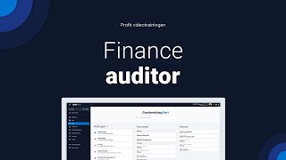 Finance auditor [upl. by Loise]