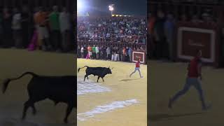 😱 SALE EL TORO A LA PLAZA Y EMBISTE A TODOS [upl. by Bannerman]