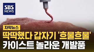 딱딱했다 갑자기 흐물흐물…카이스트 놀라운 개발품 자막뉴스  SBS [upl. by Dyl]