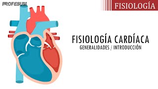 Fisiología Cardíaca  Generalidades Introducción [upl. by Aihsyt]