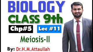 MeiosisII  Cell cycle  Chapter 5  9th class Biology  Lec11 [upl. by Yearwood]