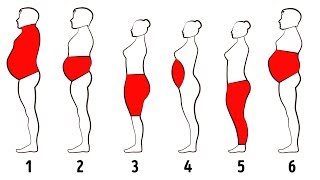 6 Types of Body Fat and How to Get Rid of It [upl. by Hoxsie]