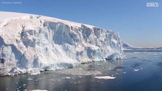 Worlds largest iceberg breaks off from Antarctica [upl. by Madancy]