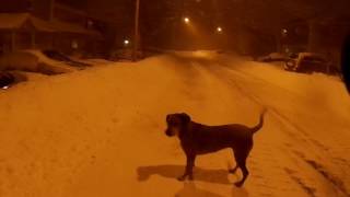 QC tempête de neige Montérégie 14 mars 2017 50 km de Montréal [upl. by Kelley]