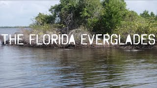 Epic day Fishing DEEP in the Florida Everglades [upl. by Conrado]