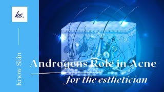 Androgens role in acne by Kirsten Sheridan [upl. by Lednam]