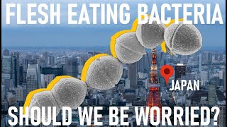 EXPLAINED 2024 flesh eating bacteria invades Japan [upl. by Burnard957]