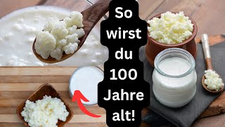 Echten Kefir zuhause herstellen Getränk der Hundertjährigen [upl. by Tteirrah]