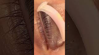 Impressive lash lift technique  Lash Flash [upl. by Nyladnarb]