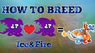 How To Breed IceampFire Dragon  Dragon City [upl. by Ladd]