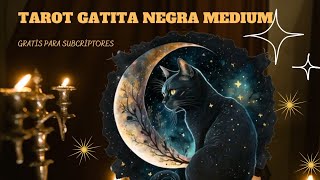 ¡Gatita negra está emitiendo en directo [upl. by Eignat]