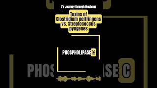 Medical Music Toxins of Clostridium perfringens vs Streptococcus pyogenes [upl. by Cort53]