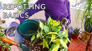 REPOTTING PLANTS A GUIDE FOR BEGINNERS  JoyUsGarden [upl. by Boswall606]