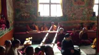 Tibetan Buddhist monks chanting in monastery in Nepal during a special puja [upl. by Rahm]