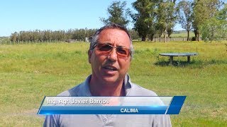 Proyecto quotImplantación de festucaquot  Javier Barrios [upl. by Naraa]