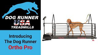 Introducing the Dog Runner Ortho Pro dog treadmill [upl. by Anitirhc567]