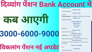 Viklang pension kab aayegi  Up viklang pension payment kab aayega  Viklang pension new update [upl. by Nowad848]