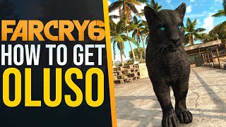 How to get the BEST AMIGO Oluso in Far Cry 6 [upl. by Lim]