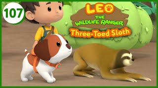 The ThreeToed Sloth  Leo The Wildlife Ranger Episode 107 [upl. by Athelstan]