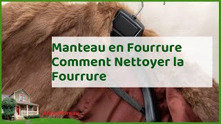 Fourrure éclatante  guide complet pour nettoyer votre manteau en fourrure [upl. by Nelan]