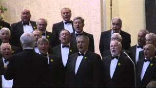 Aber Valley Male Voice Choir  Pokarekare Ana [upl. by Selassie942]