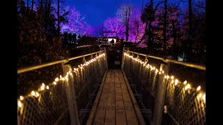 Geierlights Beleuchtete Hängeseilbrücke Geierlay [upl. by Hakvir193]