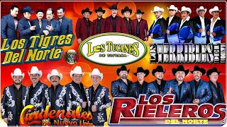 Los Tigres del Norte Los Rieleros del Norte Ramon Ayala Los Terribles del Norte Lalo Mora [upl. by Aisenet]