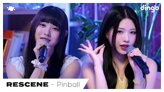 RESCENE리센느 – Pinball  dingo live  딩고뮤직  Dingo Music [upl. by Steffy]