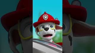 PAW Patrol  ¡Marshall se hace pequeño con el rayo encogedor de Ryder y Rocky Shorts [upl. by Edaw]