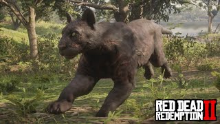 Red Dead Redemption 2  Legendary Giaguaro Panther Location amp Tips [upl. by Macmullin]