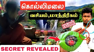 இதன் உண்மை வெளியானது  Kolli hills secret Revealed  Kolli hills Travel  Edison vlogs Tamil [upl. by Ynalem]