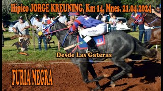 FURIA NEGRA  HIPICO JORGE KREUNING  KM 14 MISIONES 21042024 [upl. by Griff164]