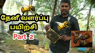 நாட்டு தேனீ பூச்சி வளர்ப்பு பயிற்சி Part 2  Honey Bee training farm part 2  apiculture training [upl. by Deutsch]