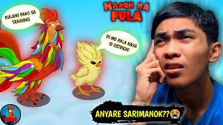 Pinatalo Ako ni Sarimanok sa Ostrich🤧  Manok Na Pula Part 8 [upl. by Brand]