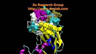 MD Simulation of H5N1 Influenza Virus [upl. by Lertnahs]