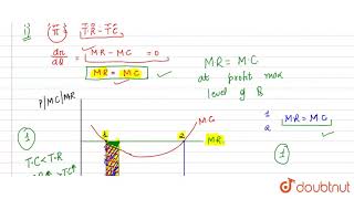 Explain producers equilibrium Use diagram [upl. by Esmaria883]