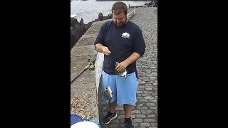 Fishing video Fishing White seabream Pesca ao sargo  دنيس الصيد سيرجوس [upl. by Nyledam493]