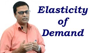 Elasticity of Demand in Hindi [upl. by Anaeda907]