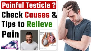 Testicles pain  What to do  Causes and Treatment  Dr Health [upl. by Amerak]