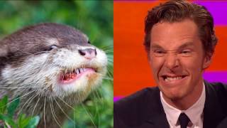 benedict cumberbatch FunnyampCute Moments [upl. by Seligmann]