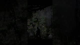 Legendary Panther  RDR2 legendaryanimal rdr2 panther [upl. by Stafford]