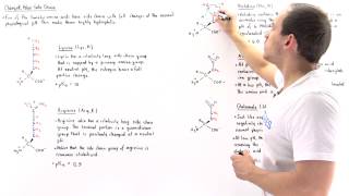 Basic and Acidic Amino Acids [upl. by Menis]