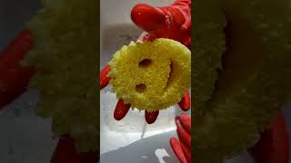 LemonSpongeLemonProduct scrubdaddy spongeasmr spongesqueeze asmrsounds sudsy asmr lemoncomet [upl. by Subocaj257]